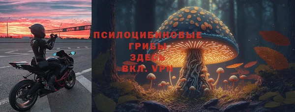 твердый Сосновоборск
